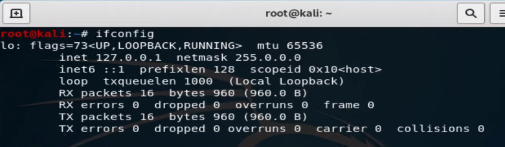 IP-problem-in-Kali-Linux-2