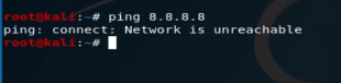 IP-problem-in-Kali-Linux-3