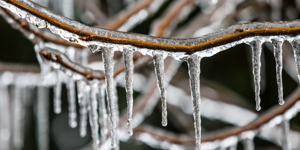 NetVital - summer mix - What is the Freezing Rain?